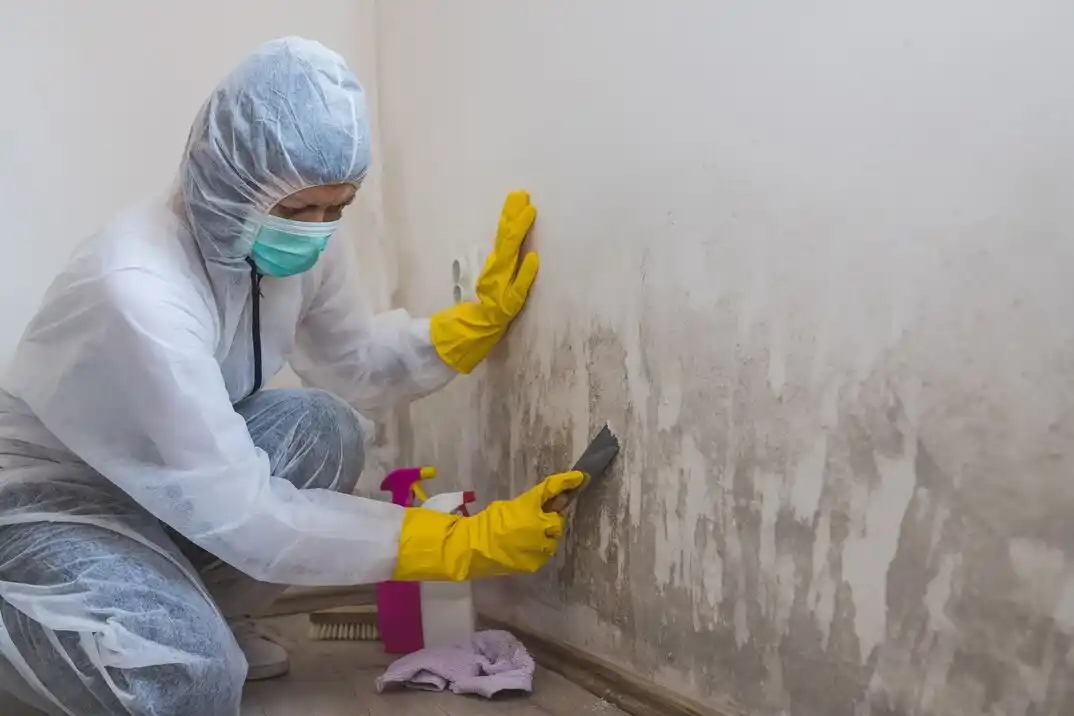 water damage restoration service Hanover Place